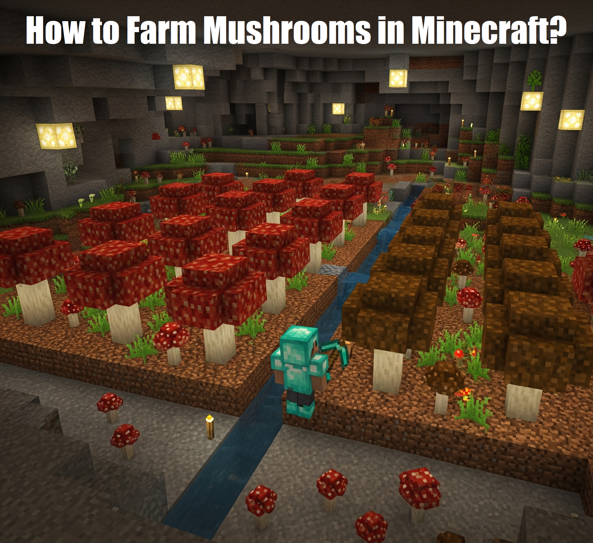 how to farm mushrooms in minecraft